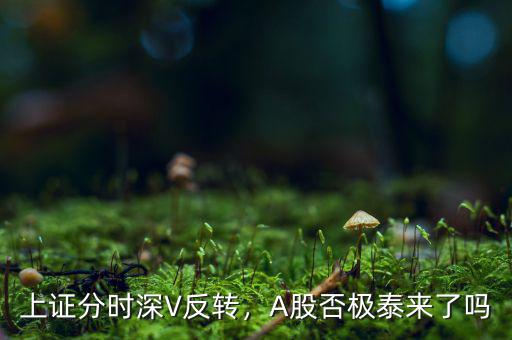 上證分時(shí)深V反轉(zhuǎn)，A股否極泰來了嗎