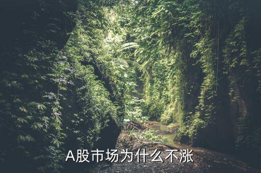 A股市場(chǎng)為什么不漲