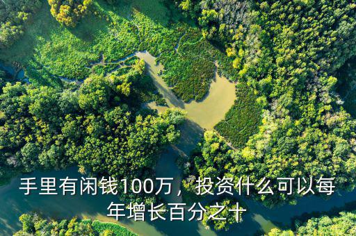 100萬(wàn)可以投資什么條件,如果有100萬(wàn)