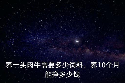 養(yǎng)一頭肉牛需要多少飼料，養(yǎng)10個月能掙多少錢