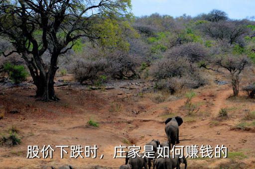 股市下跌怎么賺錢(qián),股市下跌為什么有人能掙錢(qián)