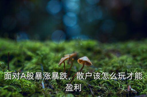 面對(duì)A股暴漲暴跌，散戶該怎么玩才能盈利