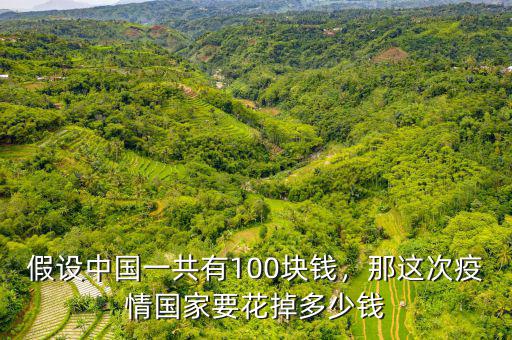 假設(shè)中國(guó)一共有100塊錢，那這次疫情國(guó)家要花掉多少錢