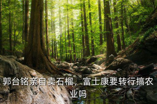 郭臺銘親自賣石榴，富士康要轉(zhuǎn)行搞農(nóng)業(yè)嗎