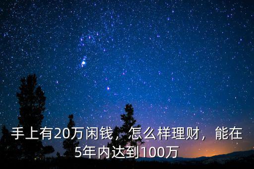 手上有20萬閑錢，怎么樣理財，能在5年內達到100萬