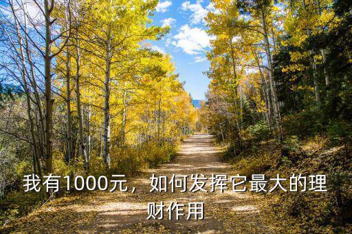 我有1000元，如何發(fā)揮它最大的理財作用