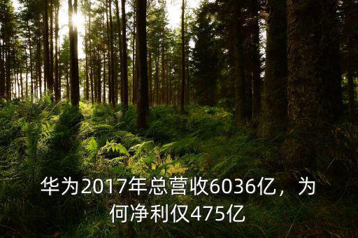 華為2017年總營收6036億，為何凈利僅475億