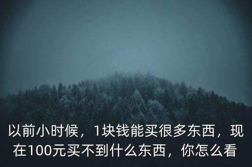 以前小時(shí)候，1塊錢能買很多東西，現(xiàn)在100元買不到什么東西，你怎么看