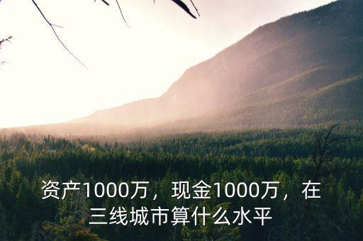 1000萬資產算什么人群,資產1000萬