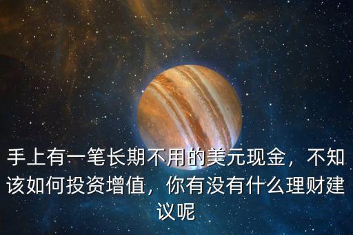 手上有一筆長(zhǎng)期不用的美元現(xiàn)金，不知該如何投資增值，你有沒有什么理財(cái)建議呢