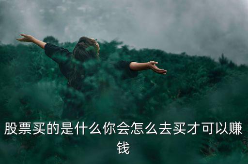 股票買(mǎi)的是什么你會(huì)怎么去買(mǎi)才可以賺錢(qián)