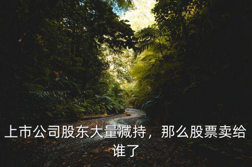 上市公司股東大量減持，那么股票賣給誰了