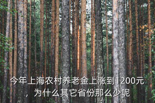 今年上海農(nóng)村養(yǎng)老金上漲到1200元，為什么其它省份那么少呢