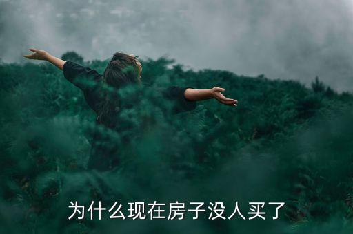 為什么現(xiàn)在的房子得房率很低,為什么現(xiàn)在房子沒人買了