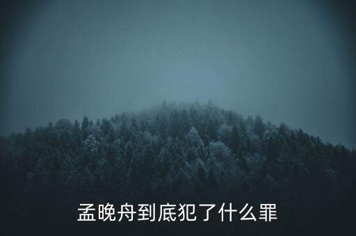 芮成鋼犯了什么事,是犯過(guò)什么事嗎