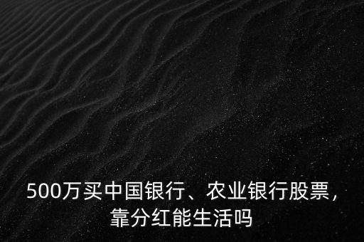 500萬買中國銀行、農(nóng)業(yè)銀行股票，靠分紅能生活嗎