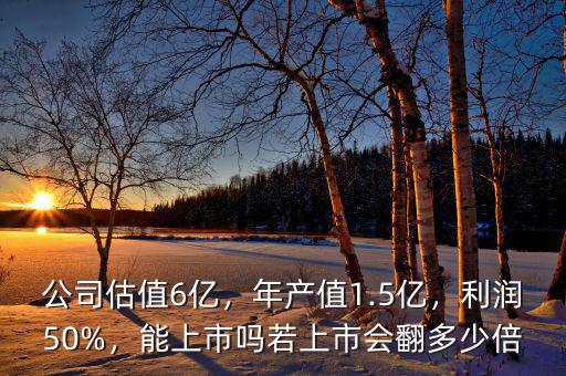 公司估值6億，年產值1.5億，利潤50%，能上市嗎若上市會翻多少倍