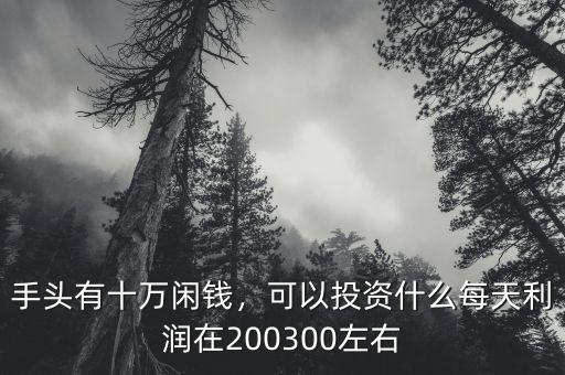 手頭有十萬閑錢，可以投資什么每天利潤在200300左右