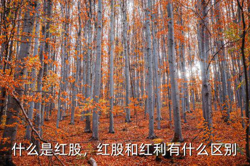 什么是紅股，紅股和紅利有什么區(qū)別