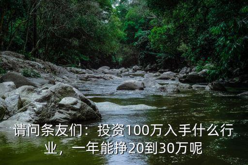 請(qǐng)問(wèn)條友們：投資100萬(wàn)入手什么行業(yè)，一年能掙20到30萬(wàn)呢