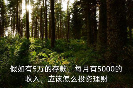 假如有5萬的存款，每月有5000的收入，應(yīng)該怎么投資理財