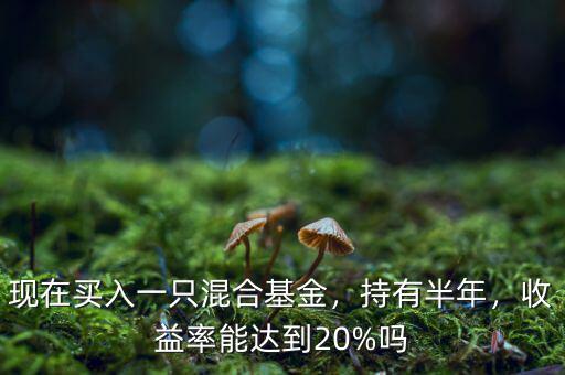 現(xiàn)在買入一只混合基金，持有半年，收益率能達(dá)到20%嗎