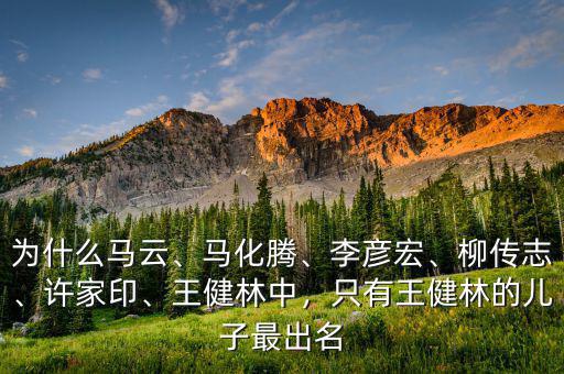 為什么馬云、馬化騰、李彥宏、柳傳志、許家印、王健林中，只有王健林的兒子最出名