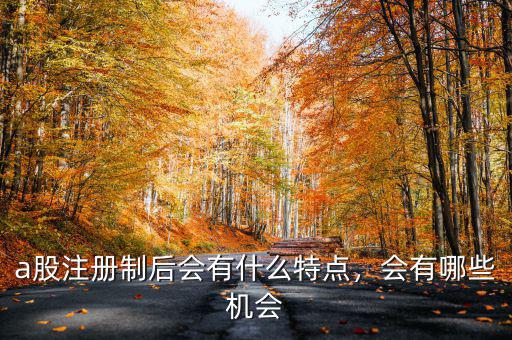 a股注冊(cè)制后會(huì)有什么特點(diǎn)，會(huì)有哪些機(jī)會(huì)