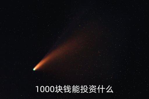 1000塊錢(qián)能投資什么