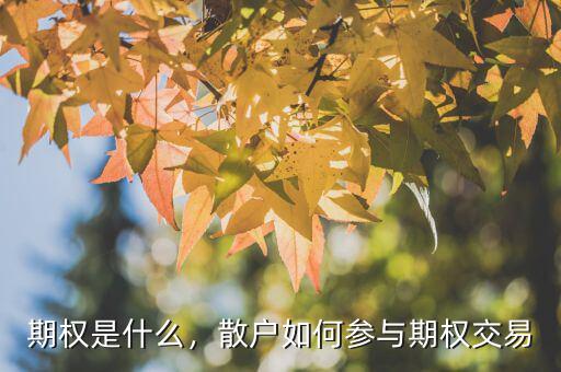 期權(quán)是什么，散戶如何參與期權(quán)交易