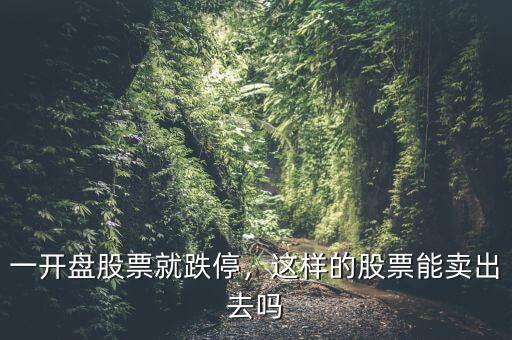 一開盤股票就跌停，這樣的股票能賣出去嗎