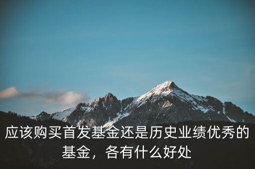 應(yīng)該購(gòu)買首發(fā)基金還是歷史業(yè)績(jī)優(yōu)秀的基金，各有什么好處