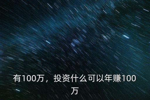 有100萬，投資什么可以年賺100萬