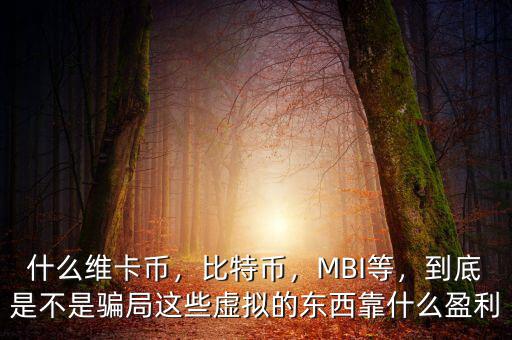 什么維卡幣，比特幣，MBI等，到底是不是騙局這些虛擬的東西靠什么盈利