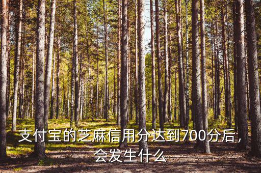 支付寶的芝麻信用分達(dá)到700分后，會(huì)發(fā)生什么