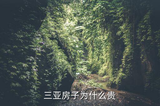 三亞房子為什么貴