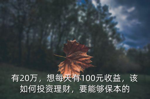 有20萬，想每天有100元收益，該如何投資理財，要能夠保本的