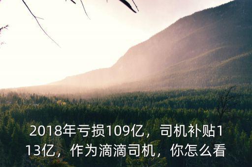 2018年虧損109億，司機補貼113億，作為滴滴司機，你怎么看