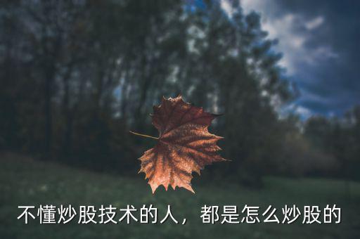 不懂炒股技術(shù)的人，都是怎么炒股的