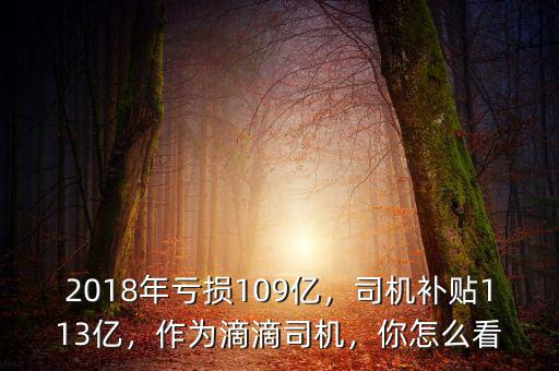 2018年虧損109億，司機(jī)補(bǔ)貼113億，作為滴滴司機(jī)，你怎么看