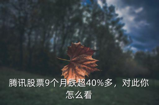 騰訊股票9個(gè)月跌超40%多，對(duì)此你怎么看