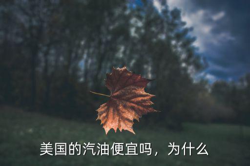 美國的汽油便宜嗎，為什么