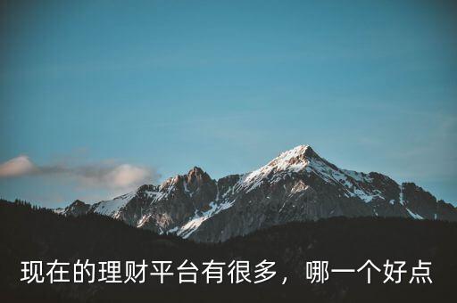 現(xiàn)在的理財(cái)平臺(tái)有很多，哪一個(gè)好點(diǎn)