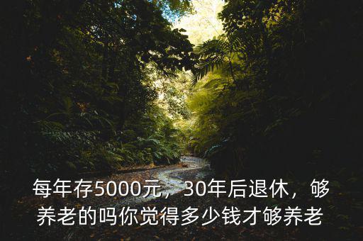 每年存5000元，30年后退休，夠養(yǎng)老的嗎你覺得多少錢才夠養(yǎng)老