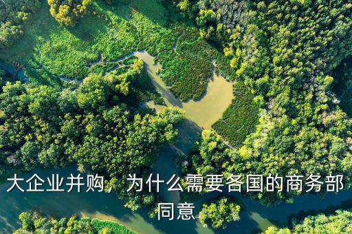 大企業(yè)并購，為什么需要各國的商務部同意