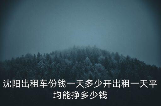 沈陽出租車司機(jī)一天能掙多少錢,出租車司機(jī)一天能掙多少錢