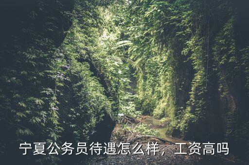 寧夏公務員待遇怎么樣，工資高嗎