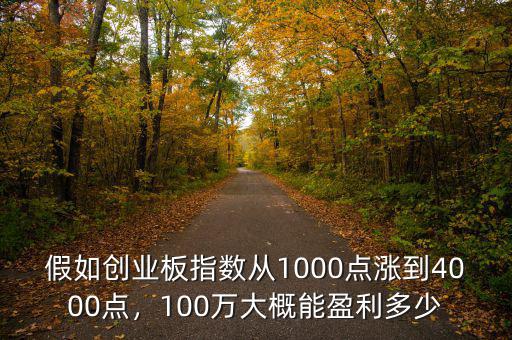 假如創(chuàng)業(yè)板指數(shù)從1000點(diǎn)漲到4000點(diǎn)，100萬大概能盈利多少