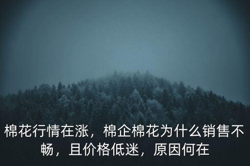 棉花行情在漲，棉企棉花為什么銷售不暢，且價格低迷，原因何在