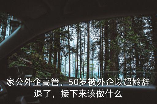 家公外企高管，50歲被外企以超齡辭退了，接下來該做什么